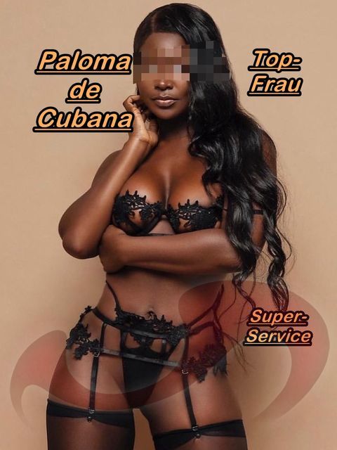 -App.1, Paloma de Cubana  in Steiermark  / Graz , Triester Straße 394
