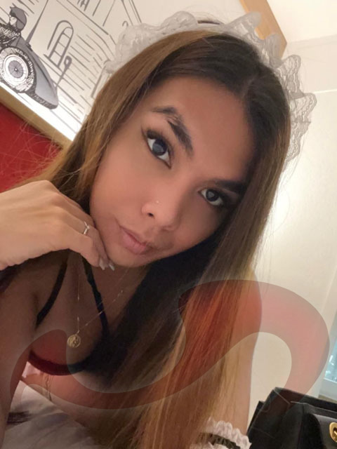 - Escort Service | Begleitservice: TS Hailey in Wien / Wien ,