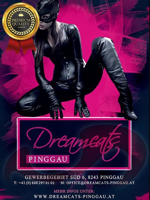  LH Dreamcats Pinggau  in Steiermark  / Pinggau , Gewerbegebiet Sd 6 