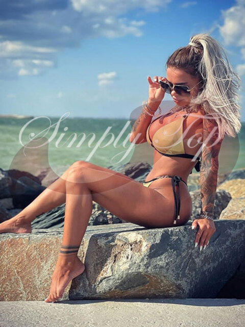  - Newcomer | Erstversuch:  Mercedes  in Wien  / Wien  , Mellergasse 22 